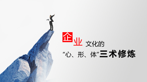 企业文化的三术修炼 